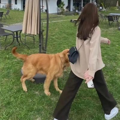 解救吾先生